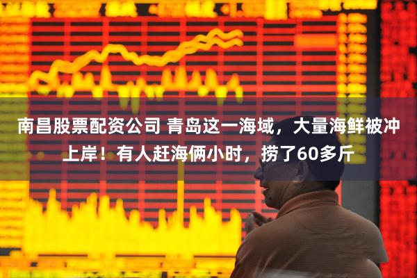 南昌股票配资公司 青岛这一海域，大量海鲜被冲上岸！有人赶海俩小时，捞了60多斤